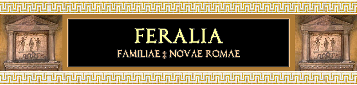 Ferilia-banner.png
