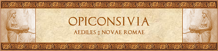 Opiconsivia-banner.png