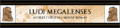 Megalesia-banner.png