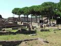Ostia conventus amphitheatre.jpg